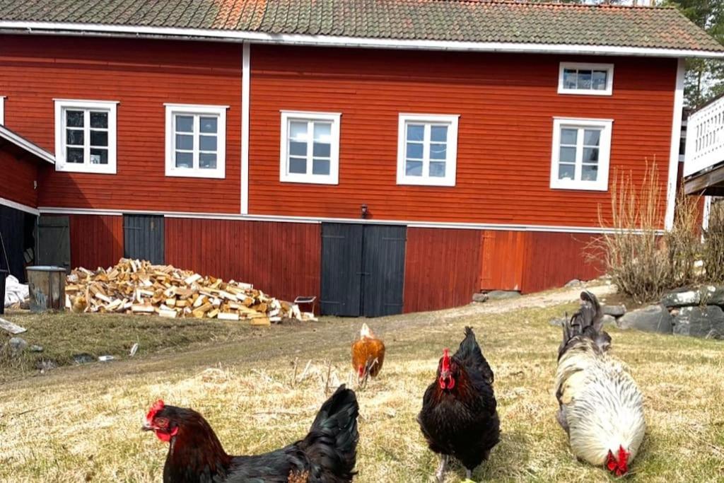 Egen Stuga Och Vedeldad Bastu Linghed Eksteriør billede