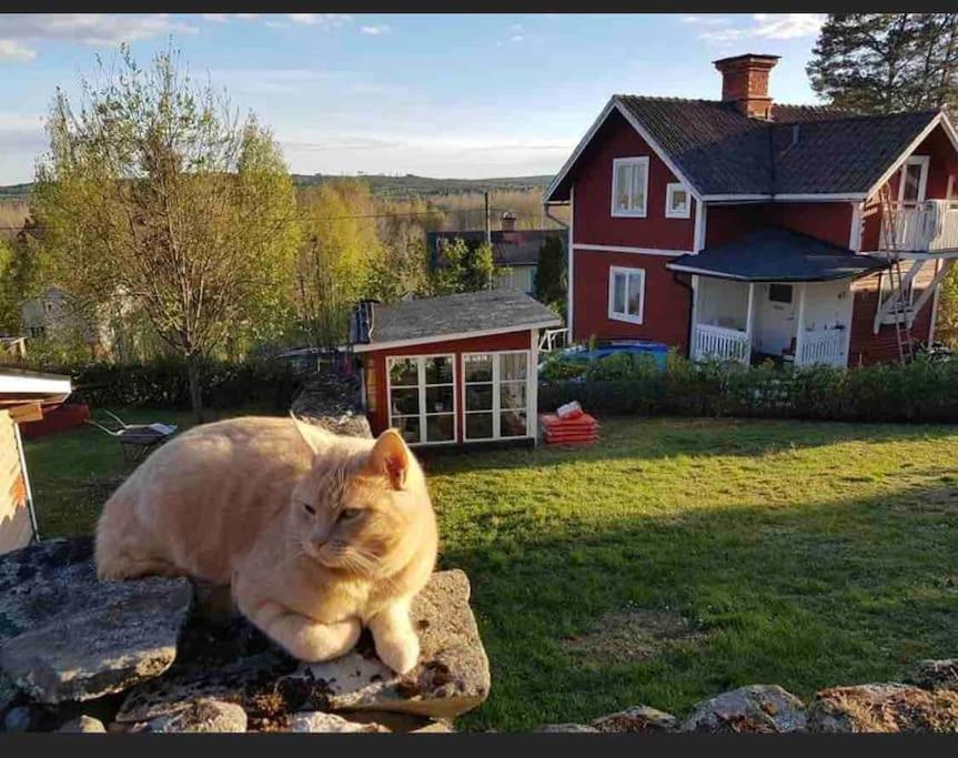 Egen Stuga Och Vedeldad Bastu Linghed Eksteriør billede